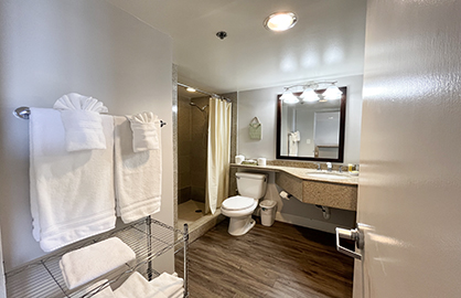 Granite Walk In Shower