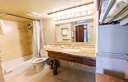 Tub/Shower in Master Bath                         