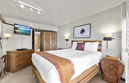 Guest bedroom w/ Queen Bed