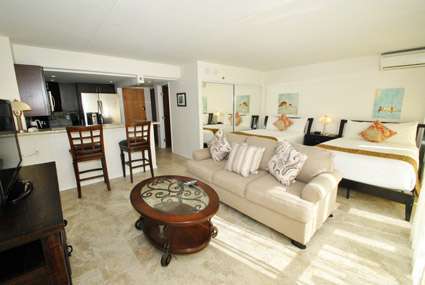 Spacious Living Area                              