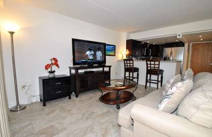 Living Area w/Sofa Bed                            