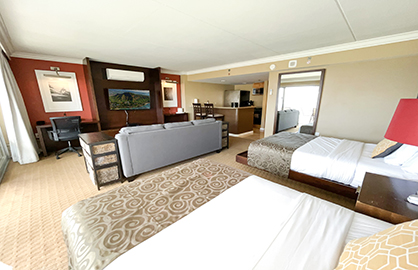Spacious Bed and Living Area