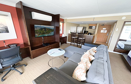Modern Living Area w/Sofabed
