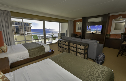 Ocean Views from Bed                              