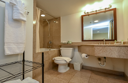 Japanese Soaking Tub/Shower                       