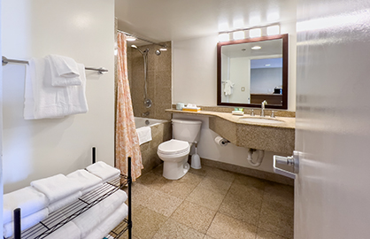 Modern Granite bathroom