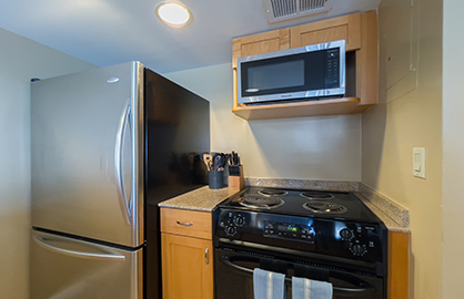Modern Stainless Appliances                       