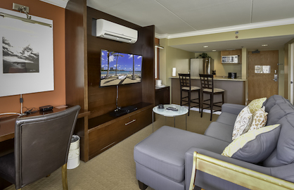 Modern Living Area w/Sofabed                      