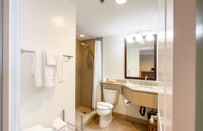 Granite Walk-In Shower                            