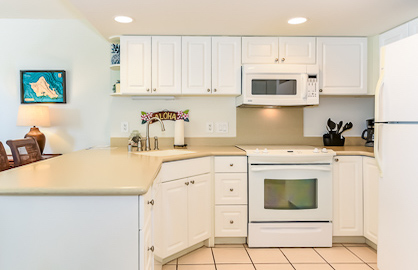 Open Kitchen with Dishwasher                      