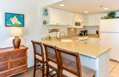 Modern Upgraded Kitchen                           