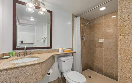 Granite Bathroom