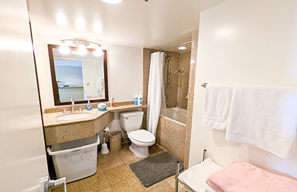 Bathroom with Japanese Soaking Tub