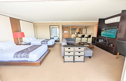 Living Area - Kitchen - Breakfast Bar             