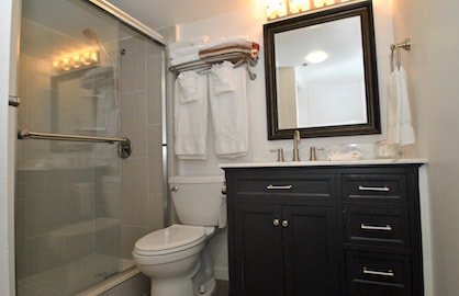 Beautiful New Modern Bathroom                     