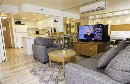 Large Living Area - Split AC                      