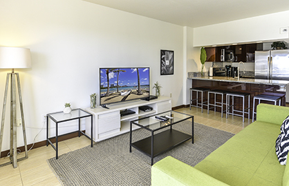 Large Flat Screen TV - Free Wifi                  