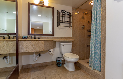 Large Granite Bathroom                            