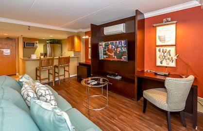 Spacious Modern Living Area                       