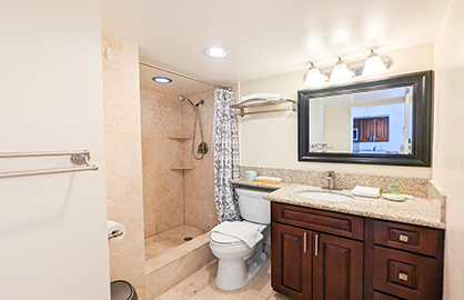 Luxury Travertine Bathroom