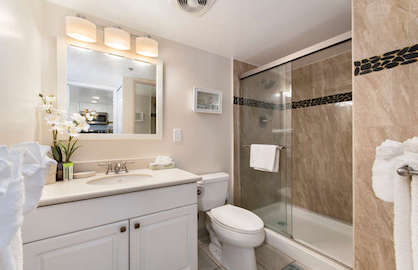 Guest bathroom.