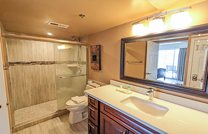 Spacious New Master Bathroom