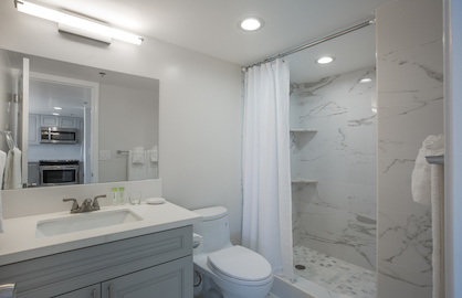 Guest Bathroom with Walk In Shower