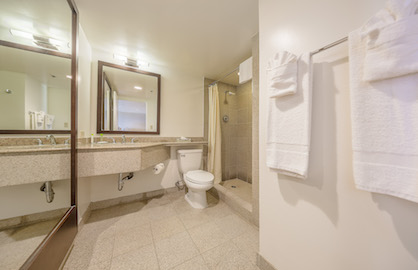 Granite Walk In Shower                            