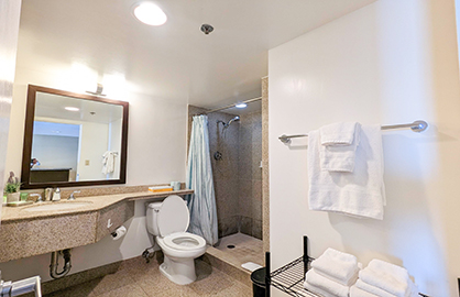 Large Granite Bathroom with Walk-in Shower