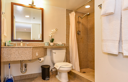 Large Granite Bathroom                            