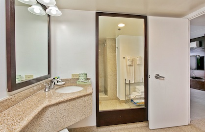 Large Bright Bathroom                             