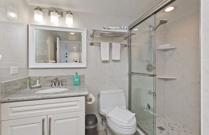 New Elegant Bathroom