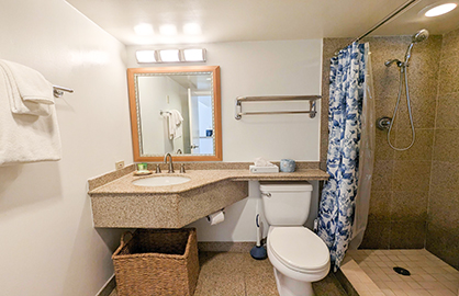 Granite Walk-In Shower