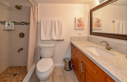 New 2019 Remodeled Bathroom