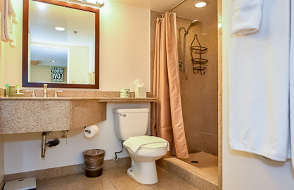 Granite Walk-in Shower