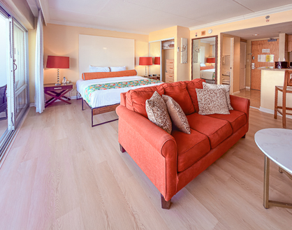 Spacious Studio with Comfortable Sofa Bed and Open