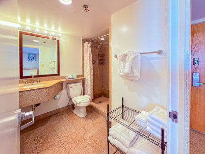 Bathroom with Walk-In Shower and Fresh Towels