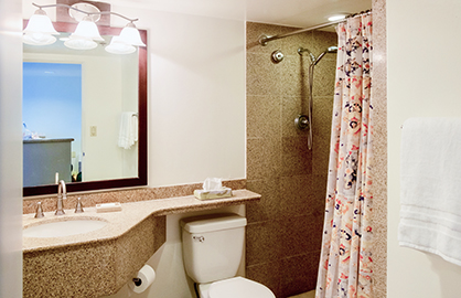 Modern Granite Bathroom