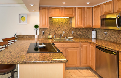 Large Kitchen with Dishwasher                     