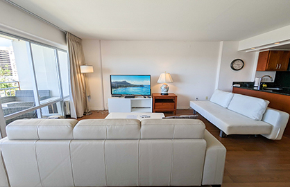 Living Area w/ 2 Sofa Beds                        