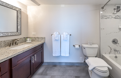 Master Bathroom with Tub/Shower