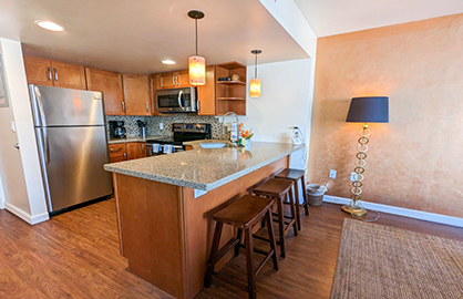 Great Kitchen with Breakfast Bar                  