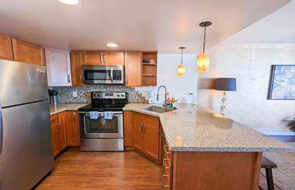 Beautiful Modern Kitchen - Dishwasher             