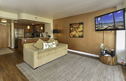 Open Spacious Living Area                         