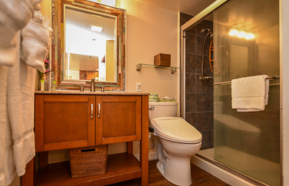 Modern Bathroom with Walkin Shower