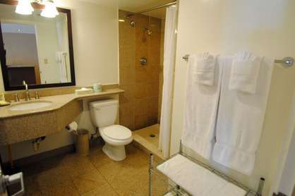 Granite Walk-In Shower                            