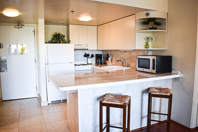 Large Open Kitchen                                