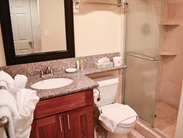 New Travertine Bathroom                           