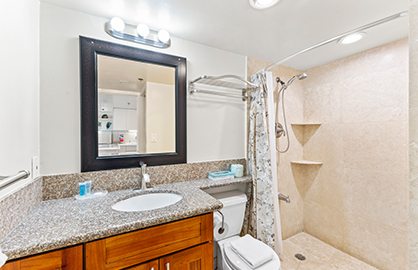 Walk-in Shower