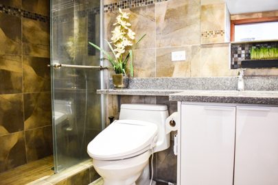 Guest Bathroom - Walk in Shower